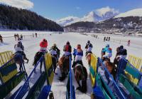 White Turf  St. Moritz 2010