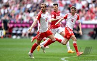 Fussball 1. Bundesliga 23/24: FC Bayern Muenchen - 1.FC Koeln
