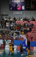 1. Basketball Bundesliga  09/10  Walter Tigers - Mitteldeutscher BC