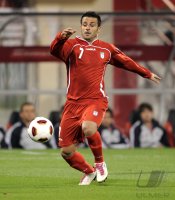 Fussball AFC Asian Cup 2011: Gholamreza Rezaei (Iran)