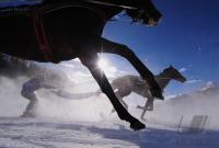 White Turf  St. Moritz 2010