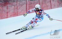 Ski Alpin Kitzbuehel 2015 Abfahrt; Guillermo Fayed (FRA)
