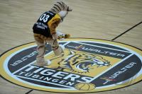 Basketball 1. Bundesliga  08/09  Walter Tigers Tuebingen  -  Paderborn Baskets