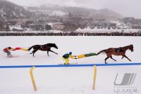 Pferdesport:  White Turf  St. Moritz 2011   Flachrennen