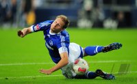 Fussball 1. Bundesliga, Saison 2012/2013: FC Schalke 04 - FSV Mainz 05