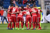 Fussball 1. Bundesliga Saison 2016/2017: TSG 1899 Hoffenheim - FC Ingolstadt