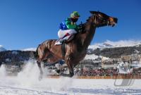 White Turf  St. Moritz 2010