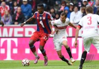 Fussball 1. Bundesliga Saison 14/15: FC Bayern Muenchen - VfB Stuttgart