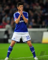 Fussball 1. Bundesliga, Saison 2012/2013: FC Schalke 04 - FSV Mainz 05