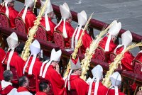 Palmsonntag auf dem Petersplatz