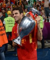 Fussball International Europameisterschaft 2012, Finale: Spanien - Italien