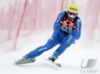 Ski Alpin  Herren Lake Louise  CAN