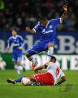 Fussball 1. Bundesliga Saison 12/13: Hamburger SV - FC Schalke 04