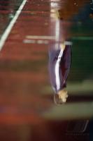 Fussball International  U 17 Weltmeisterschaft        AchtelfinaleTunesien - FrankreichTunesia vs. France