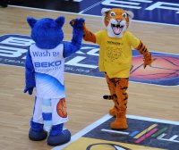 Basketball 1. Bundesliga  13/14  Walter Tigers Tuebingen  - Medi Bayreuth