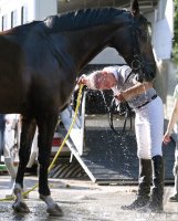 Reitenturnier Pulvermuehle Dusslingen 2016